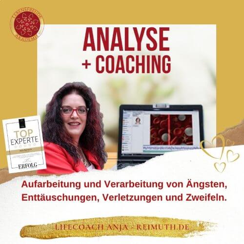 TimeWaver Analyse Coaching